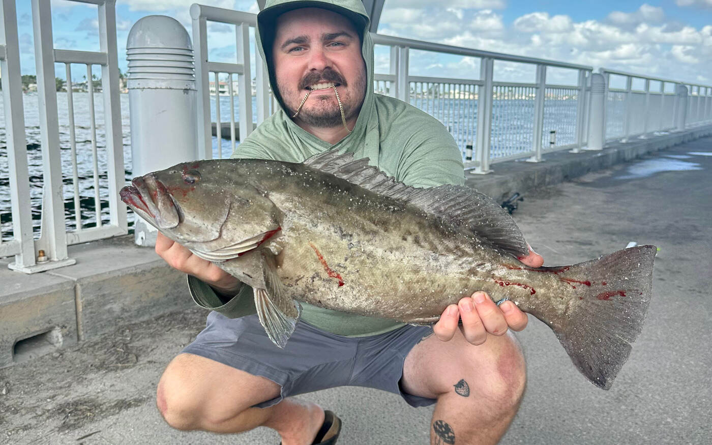 Angler kneeling on a Florida fishing pier holding a large gag grouper with mottled gray-brown markings