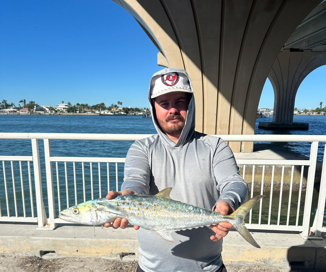 Angler on a Florida bridge pier holding a Spanish mackerel, its golden-yellow oval spots catching the sun
